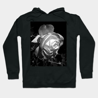 Photo product: "Shadows Are Evidence of Light" Hoodie